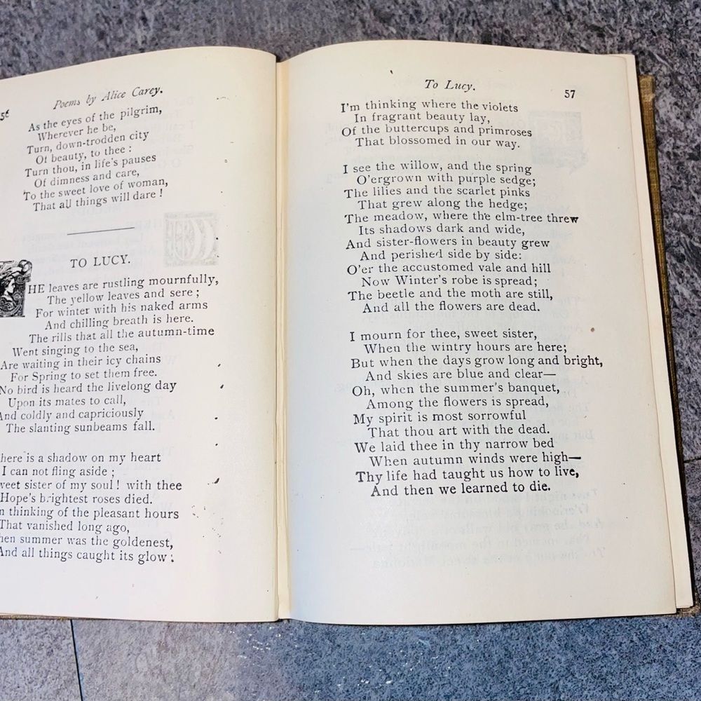 Antique Alice Cary's Poems Book Hurst and Co  Pub NY 1800s poetry hardback - Picture 5 of 7
